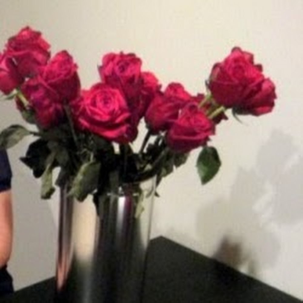 Meet your Posher, Lyn